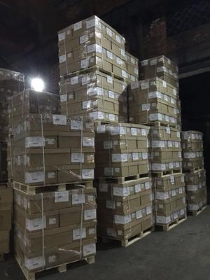 寧波至深圳物流專線與貨物倉儲服務 高效運輸一體化的關鍵支撐