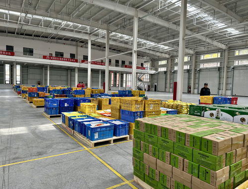陜北首家京東物流電商倉在米脂投運 榆林農(nóng)特產(chǎn)品駛?cè)霐?shù)字快車道